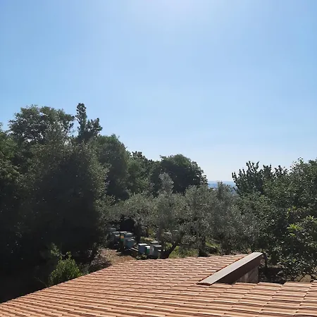 Da Zia Maria Morcone