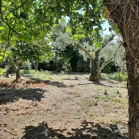 Da Zia Maria